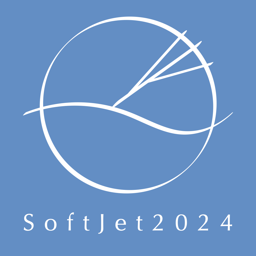 Jet Modification and Hard-Soft Correlations logo